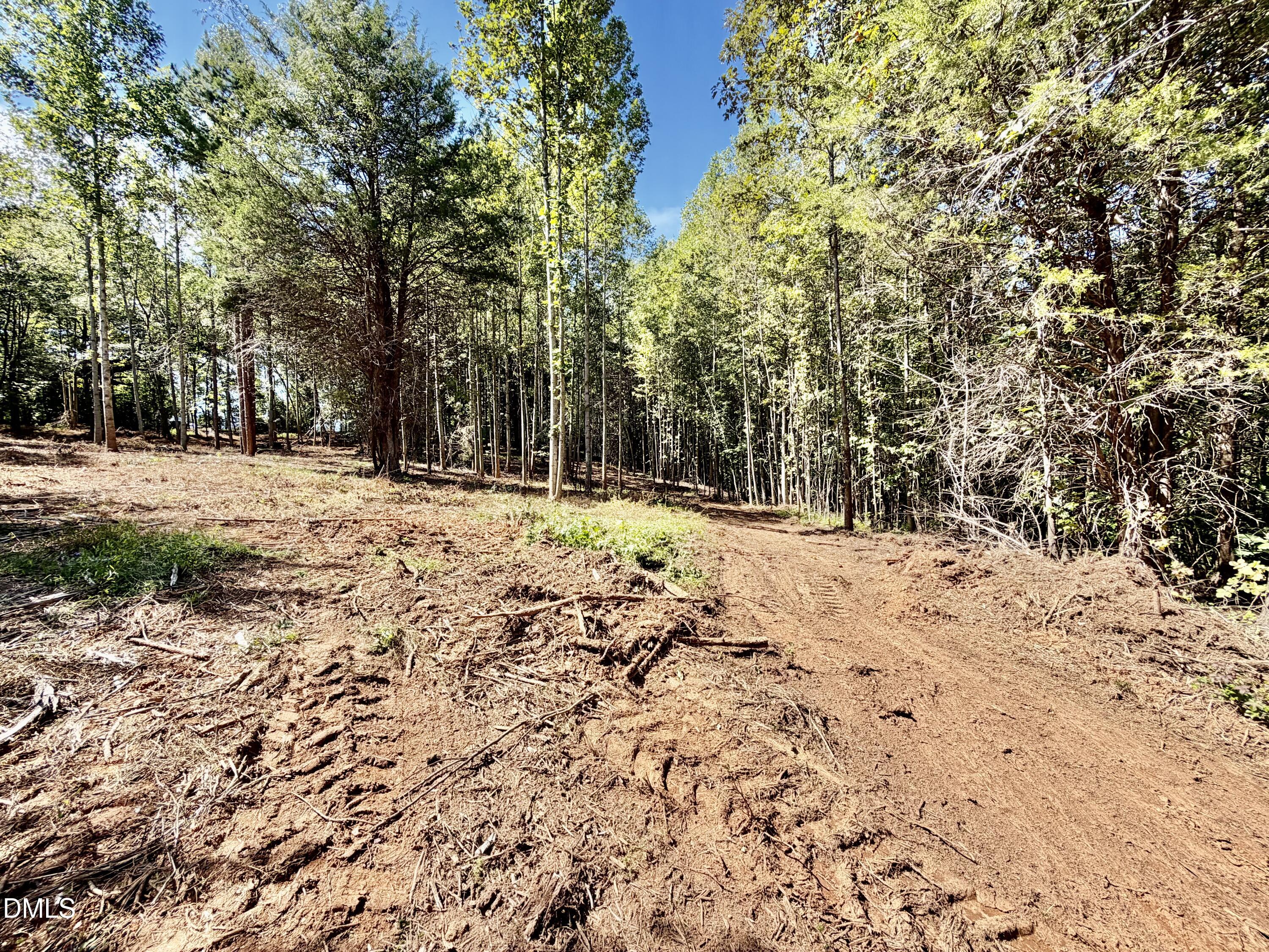 main property photo 6
