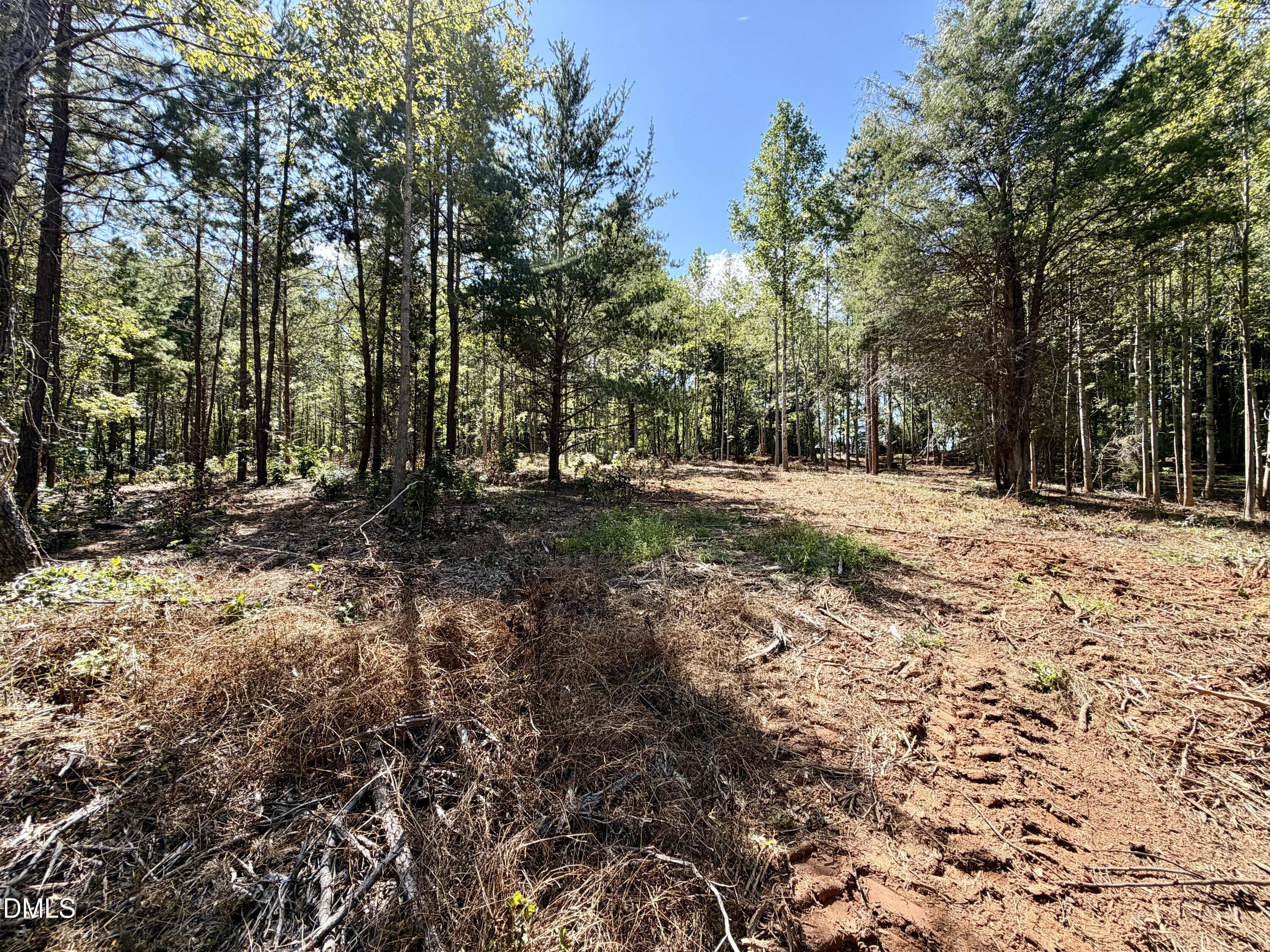 main property photo 9