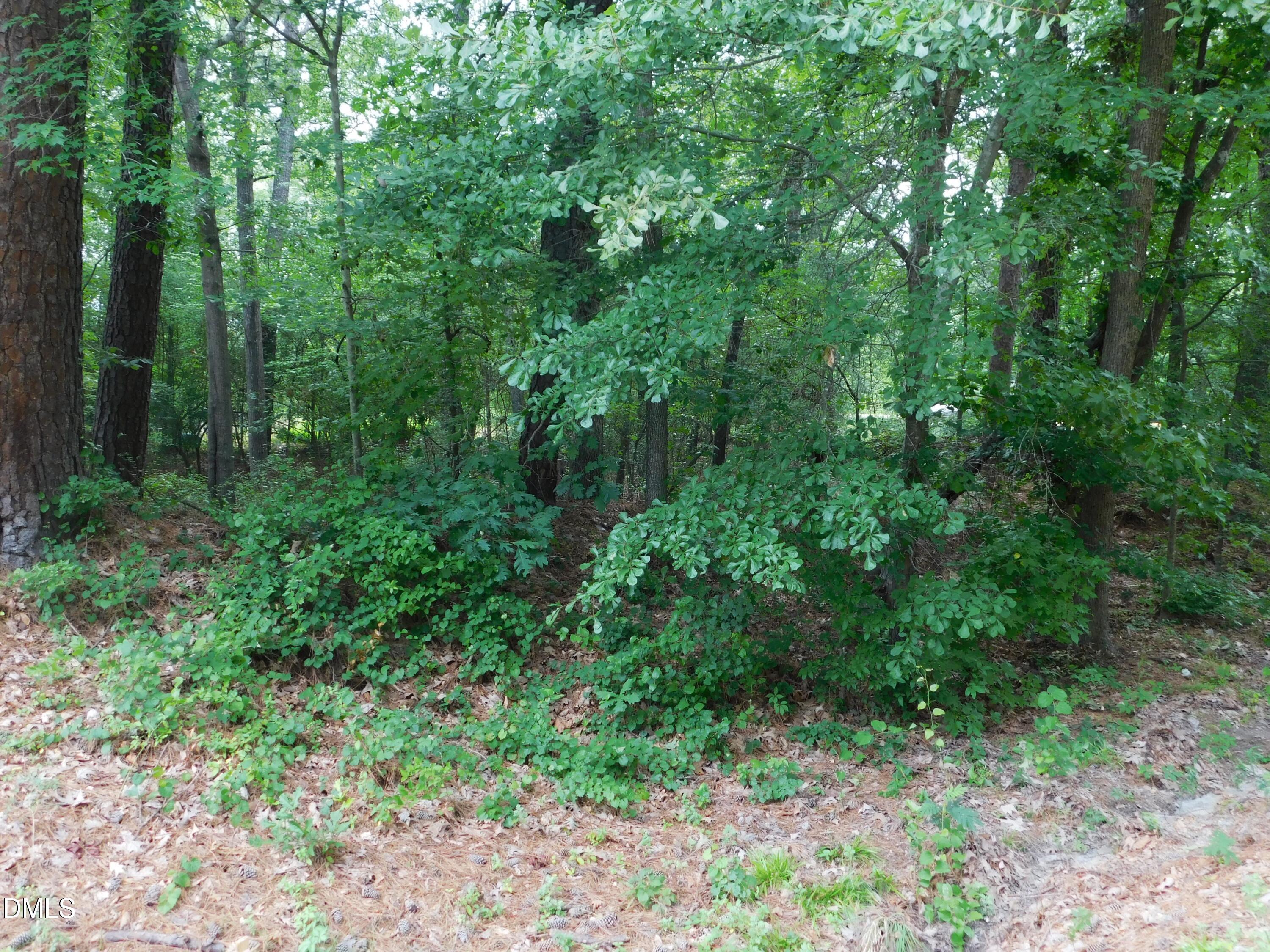 main property photo 10
