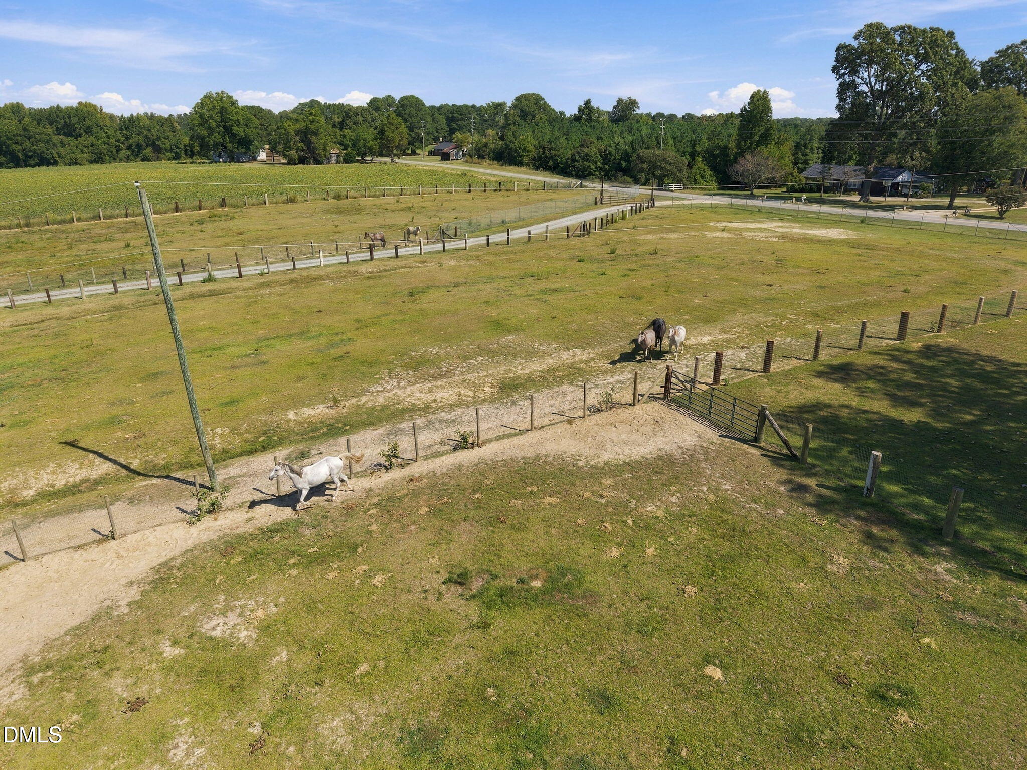 main property photo 28