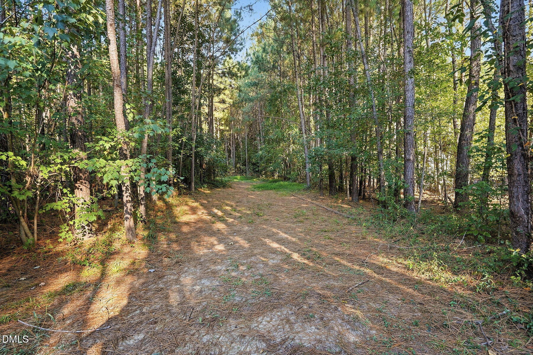 main property photo 24