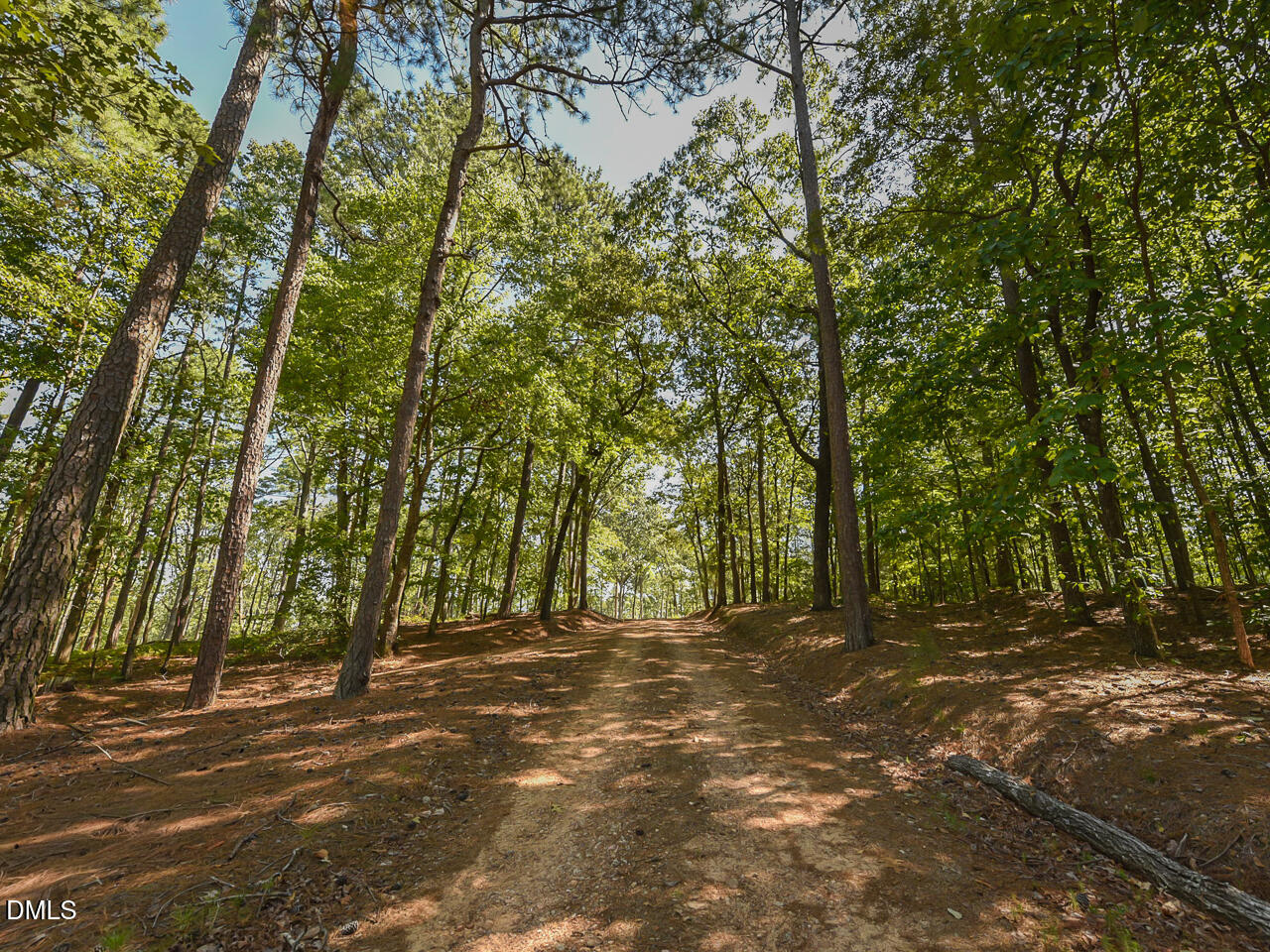 main property photo 40