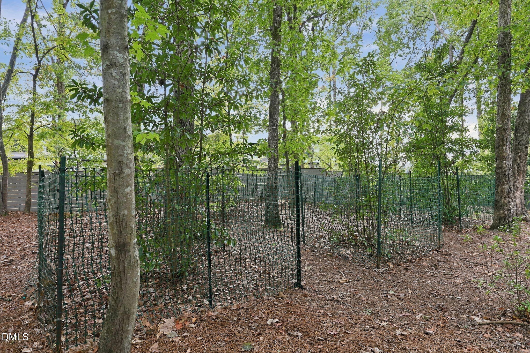 main property photo 51