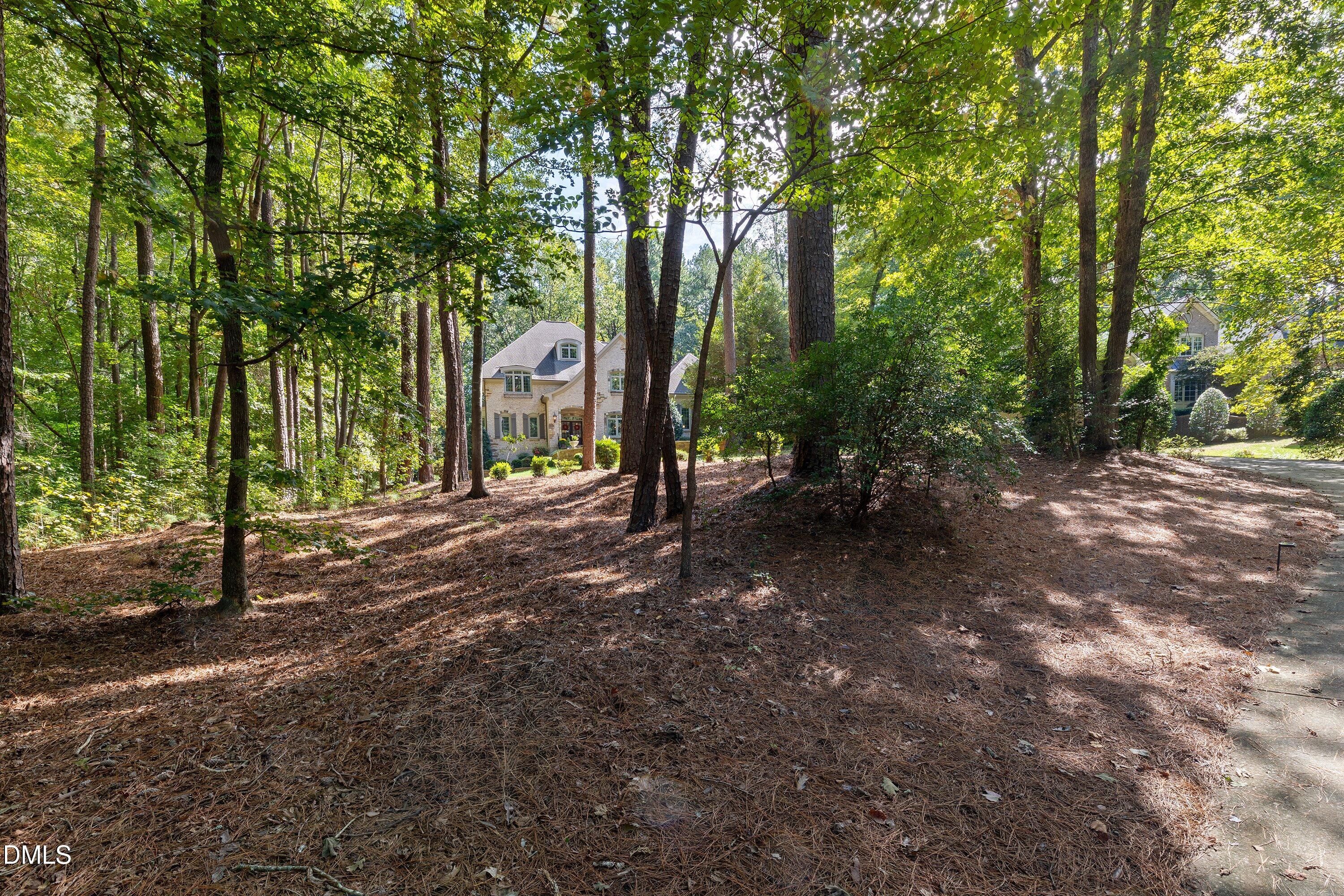 main property photo 64