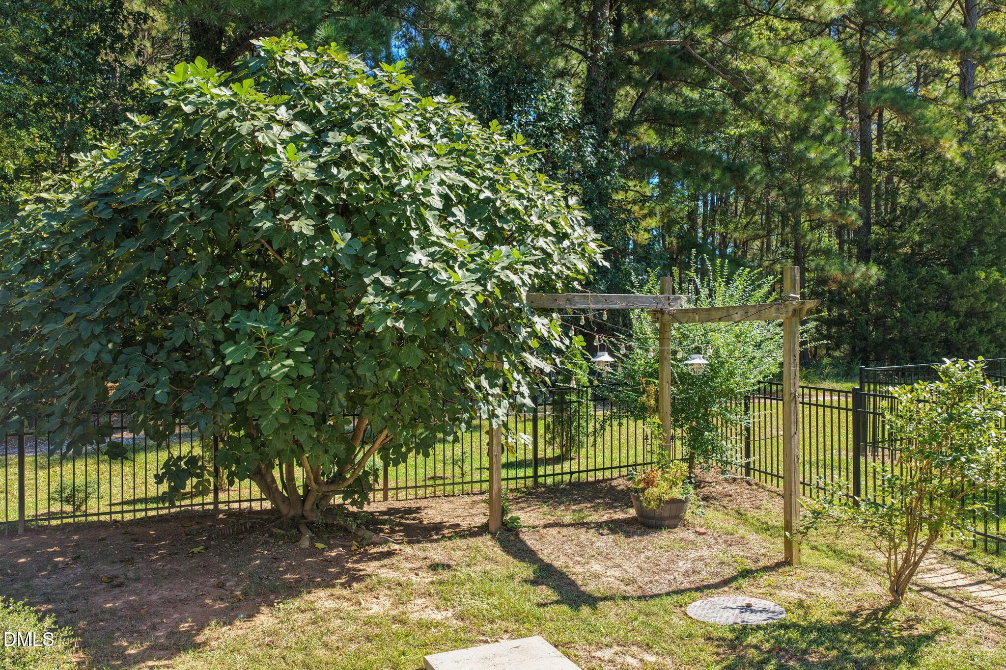 main property photo 61