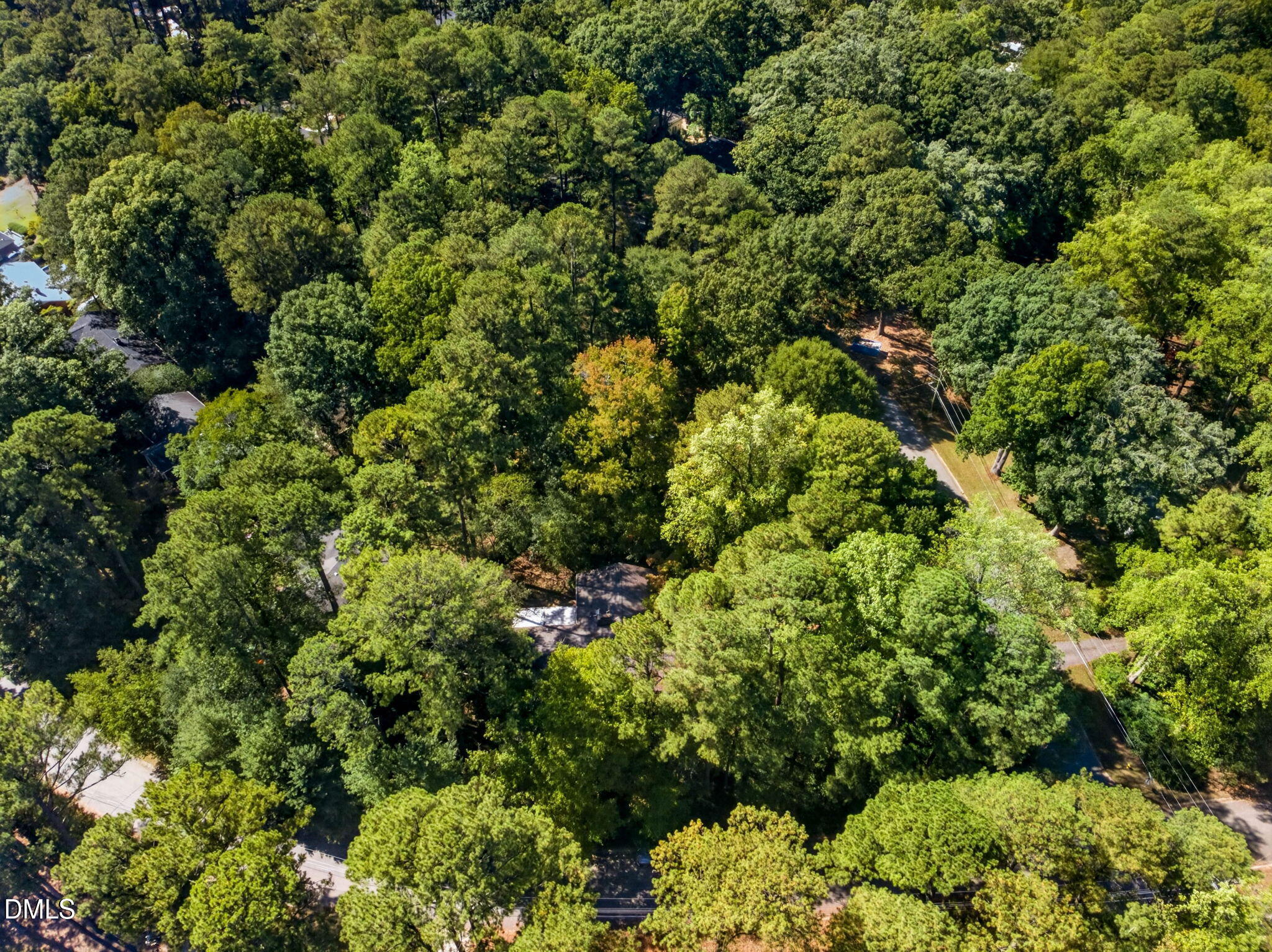 main property photo 61
