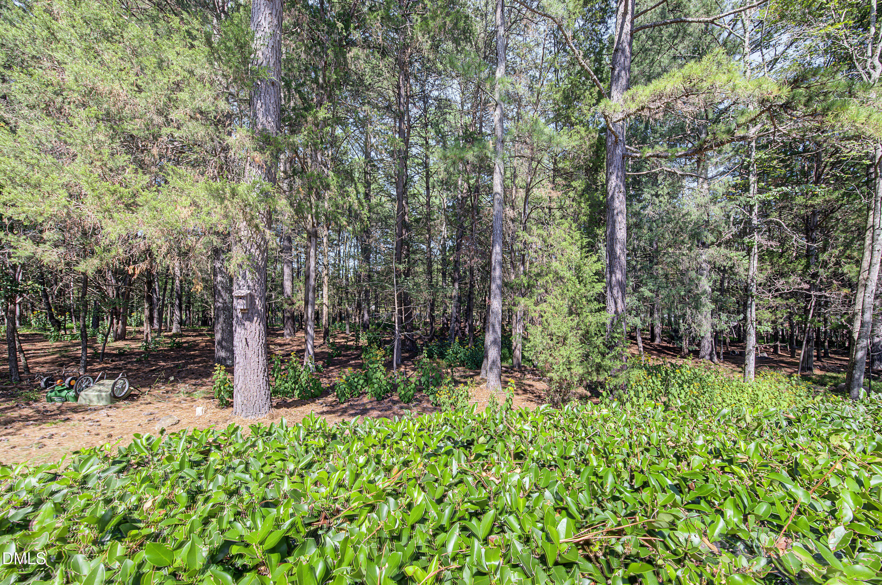 main property photo 46