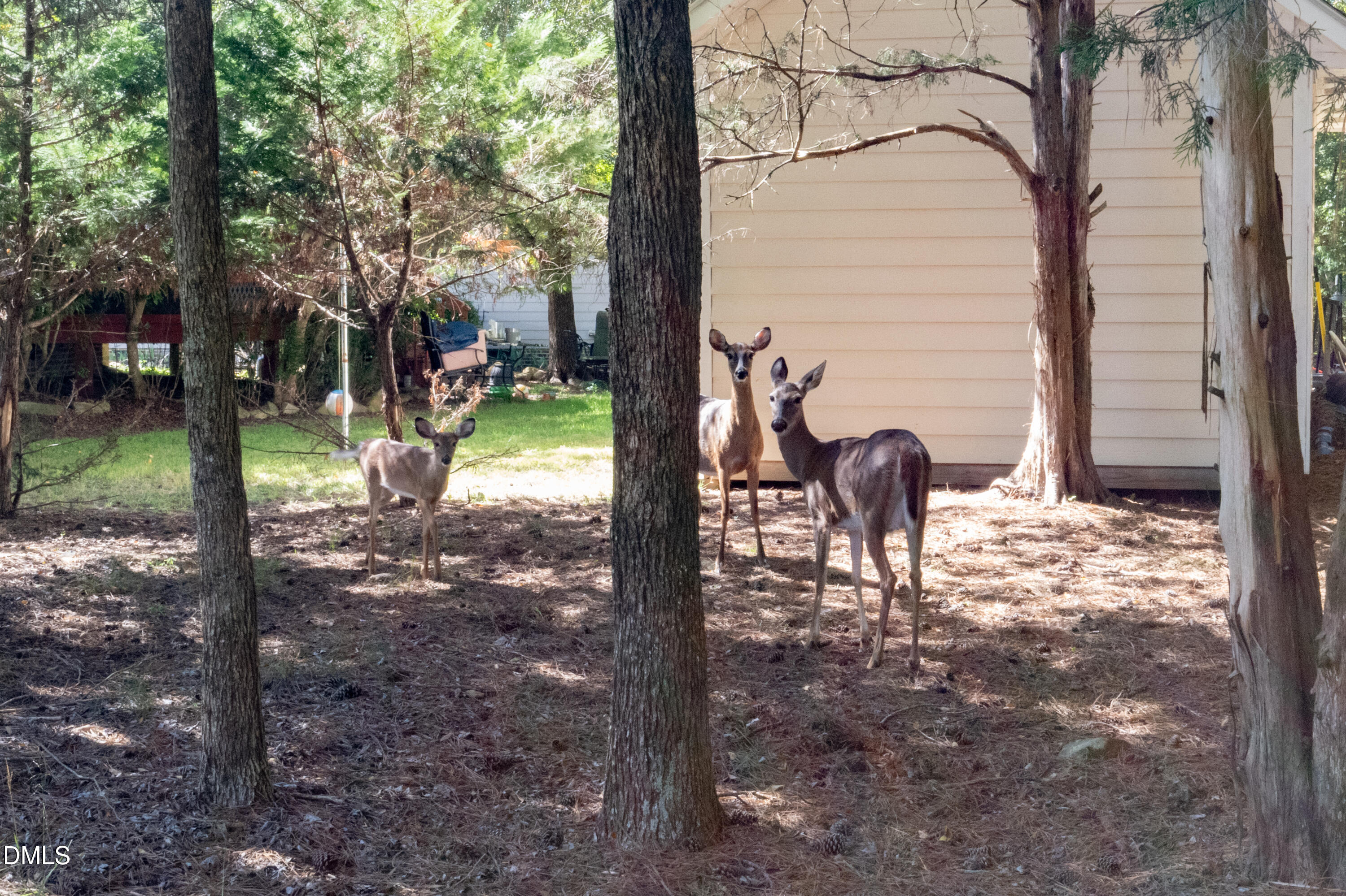 main property photo 50