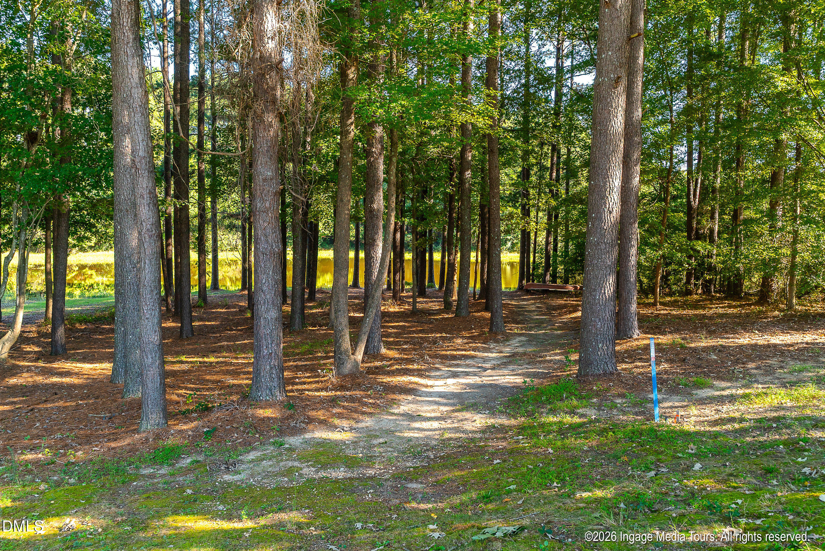 main property photo 58