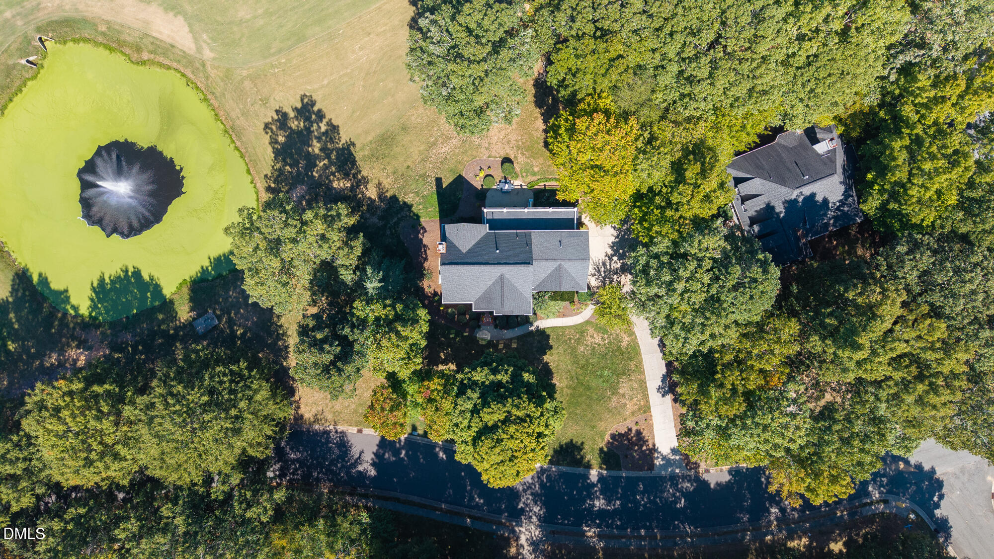 main property photo 61