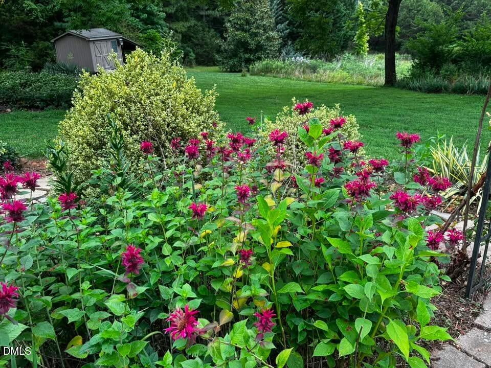 main property photo 73