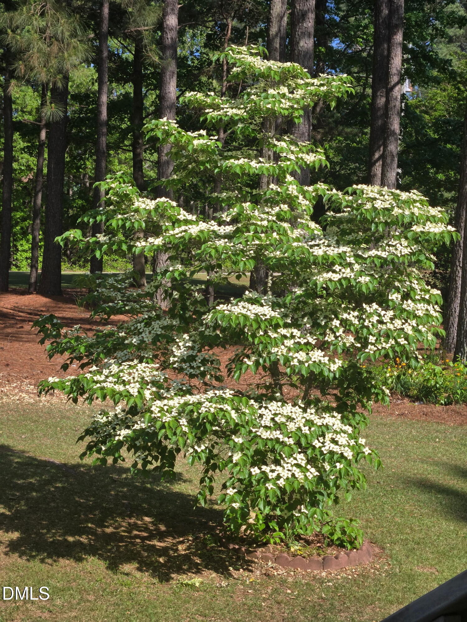 main property photo 30
