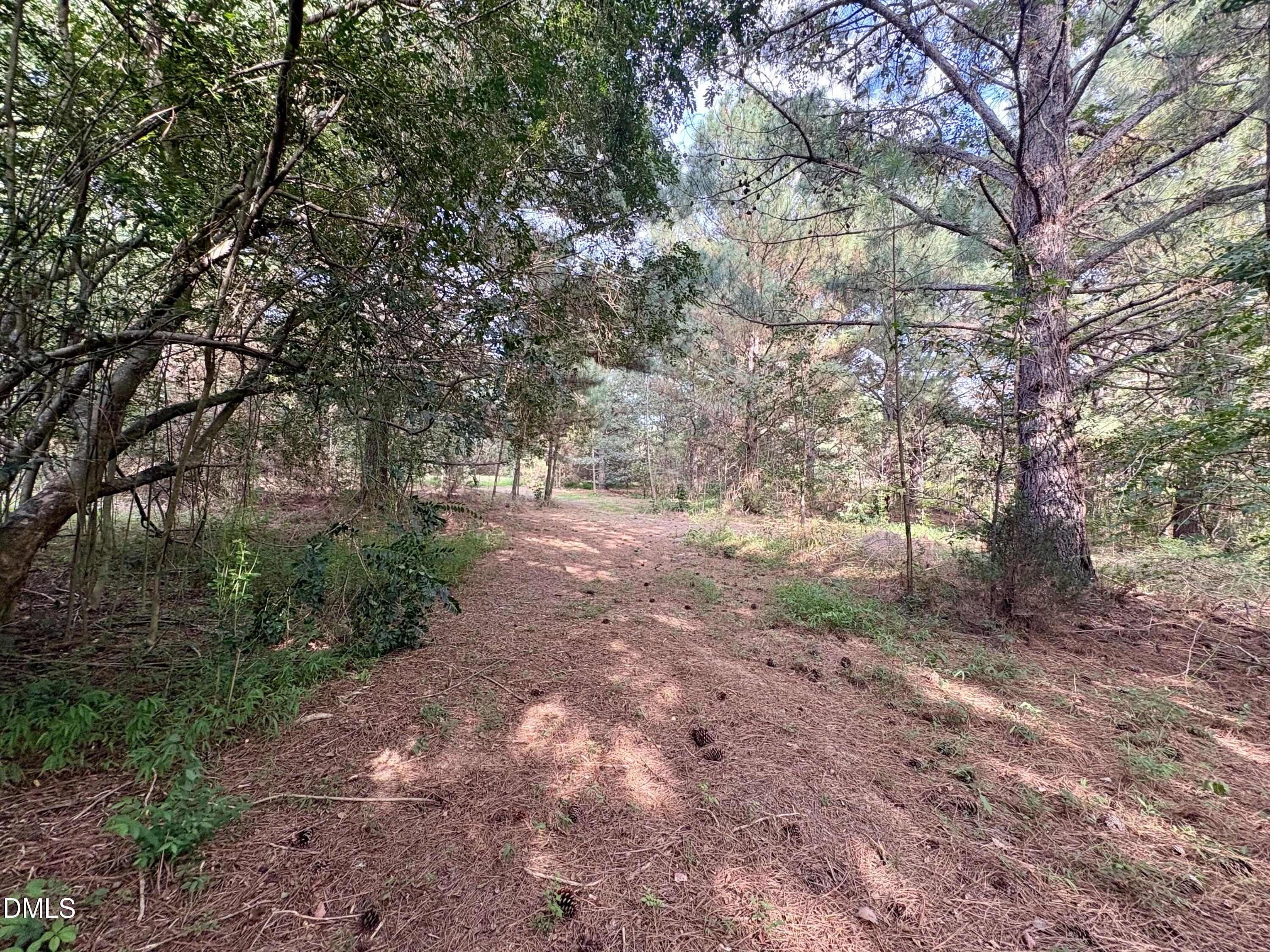 main property photo 6