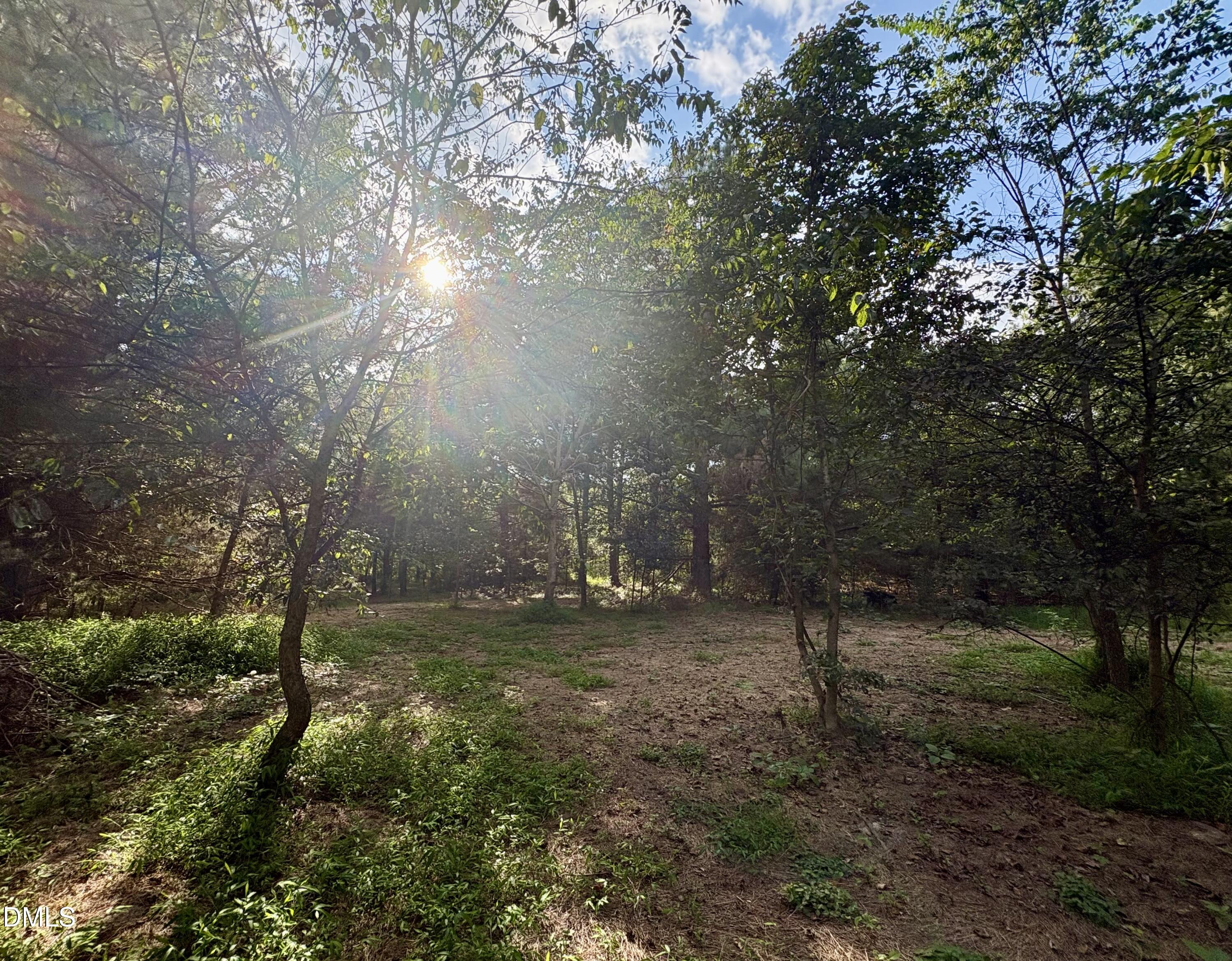 main property photo 9