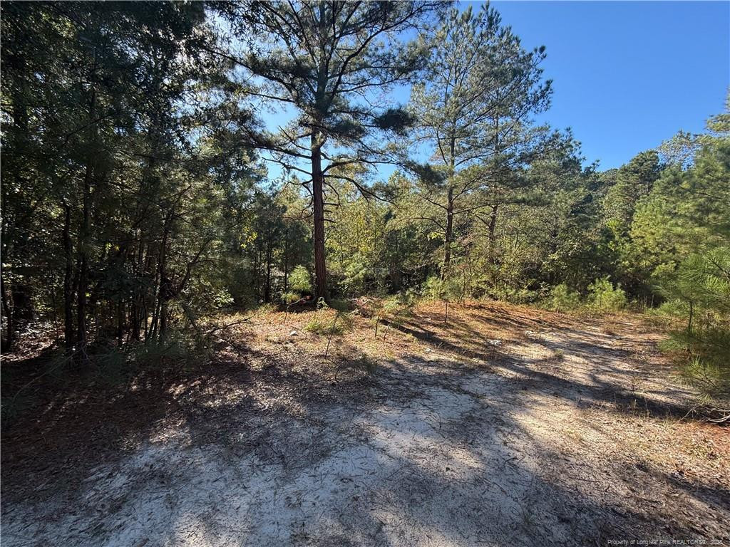 main property photo 10