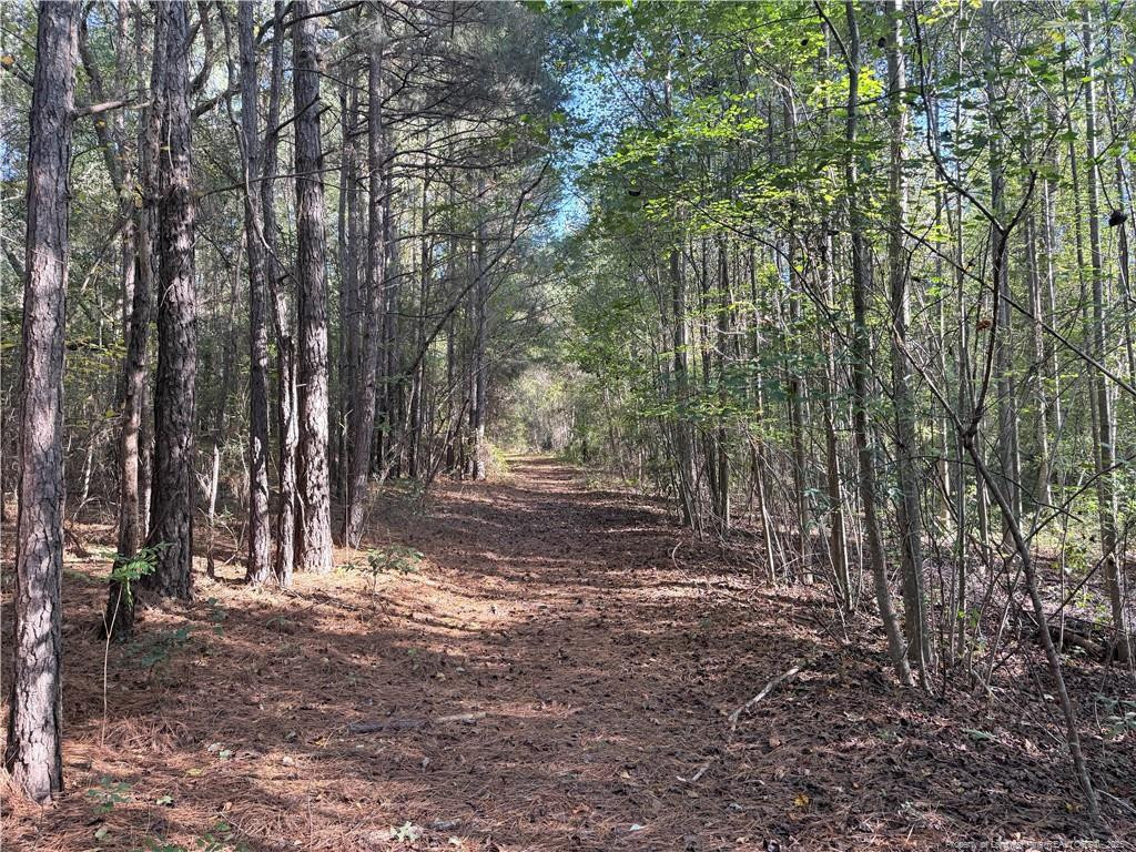main property photo 7