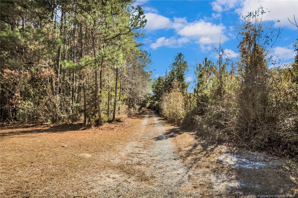 main property photo 28