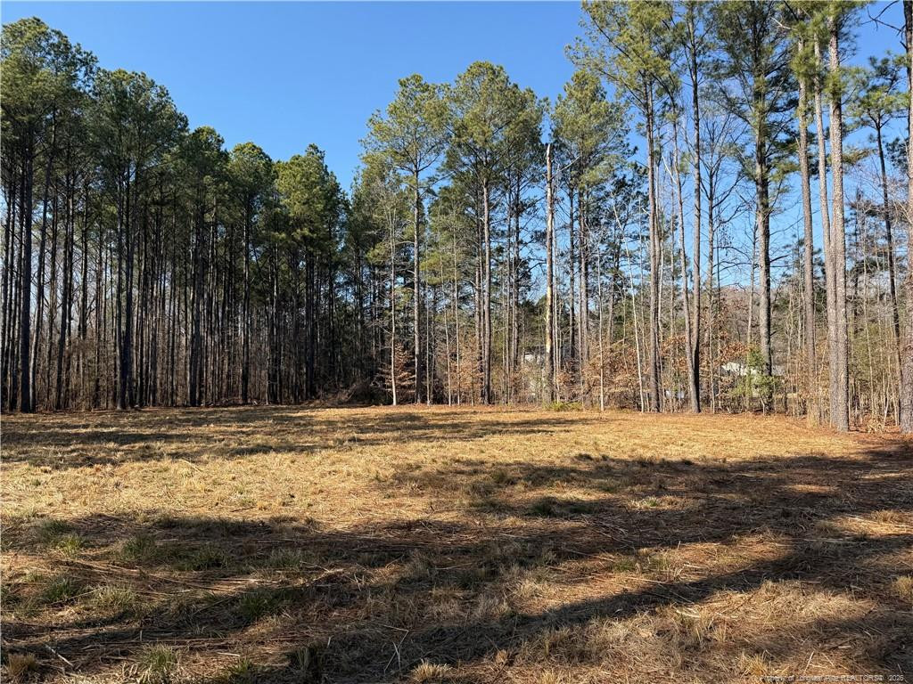 main property photo 10