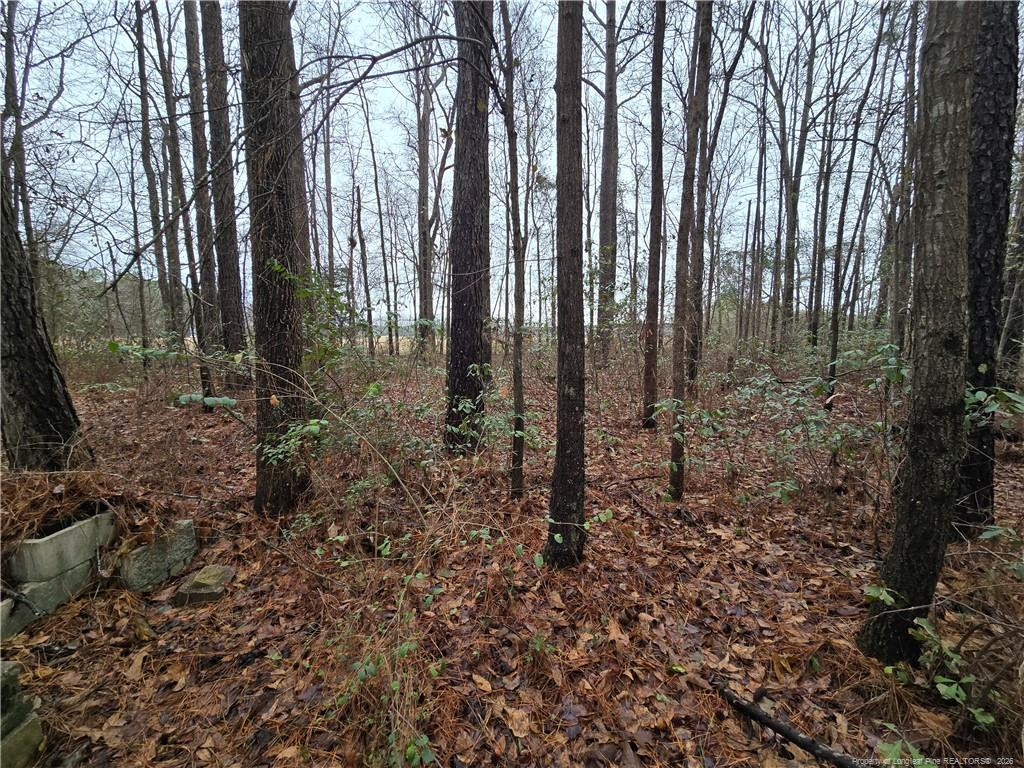 main property photo 6