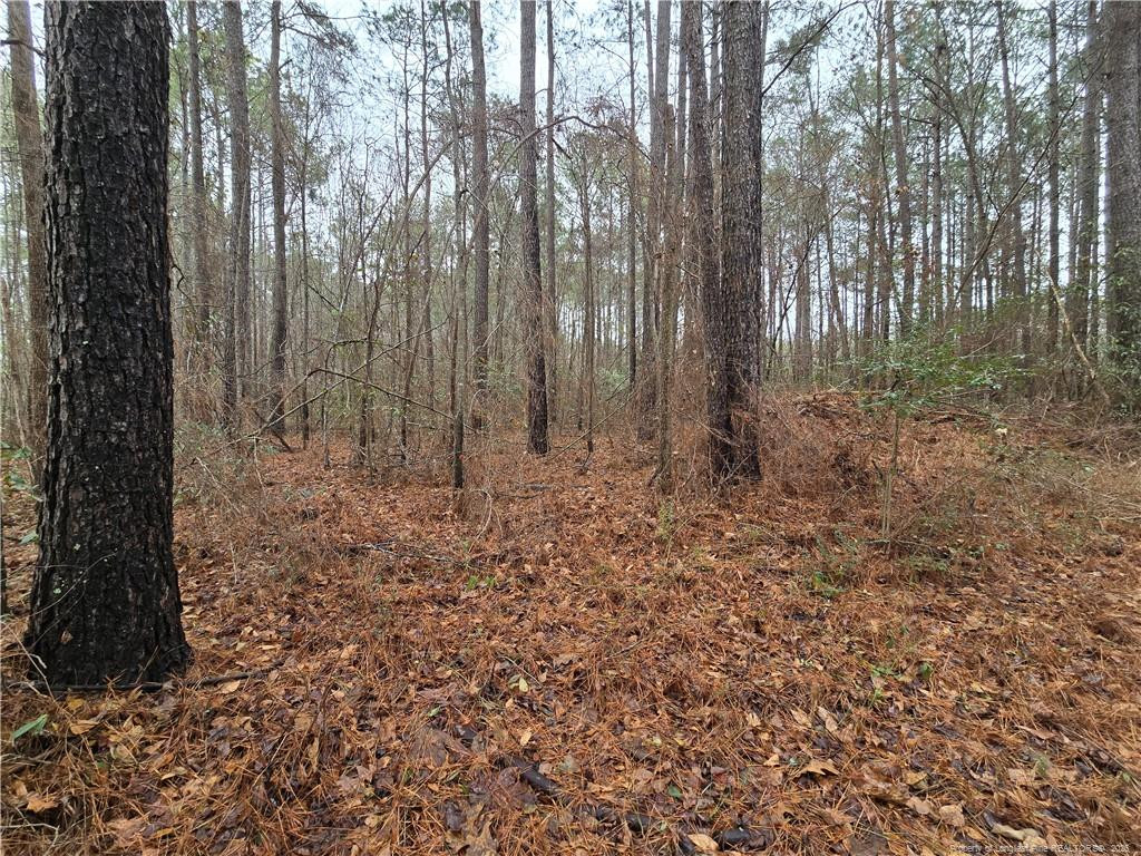 main property photo 7