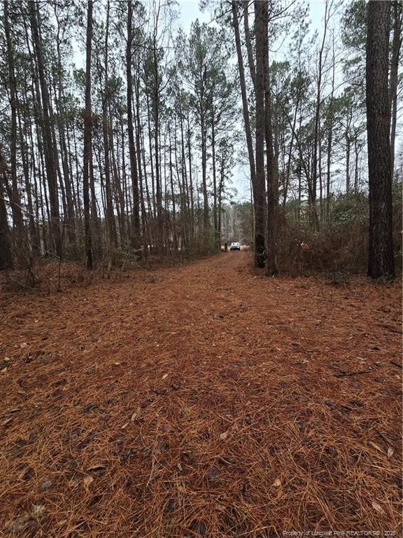 main property photo 8