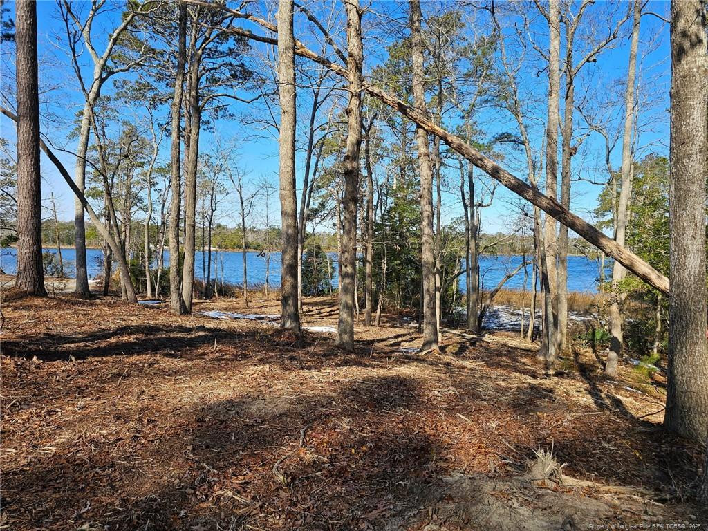 main property photo 6