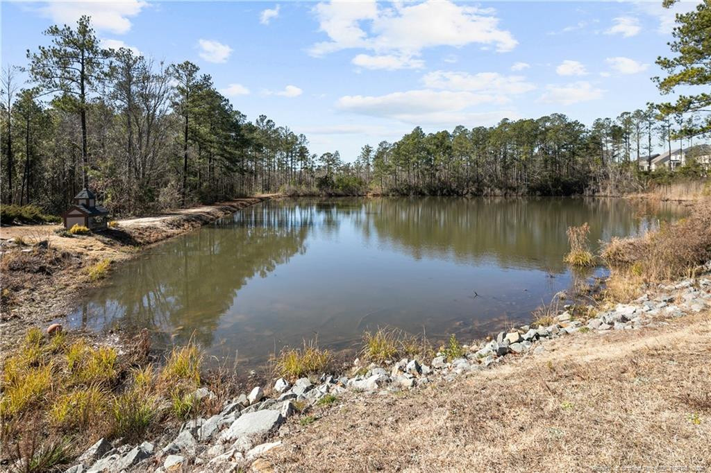 main property photo 49