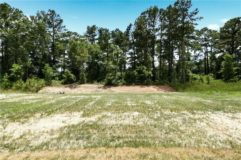main property photo 49