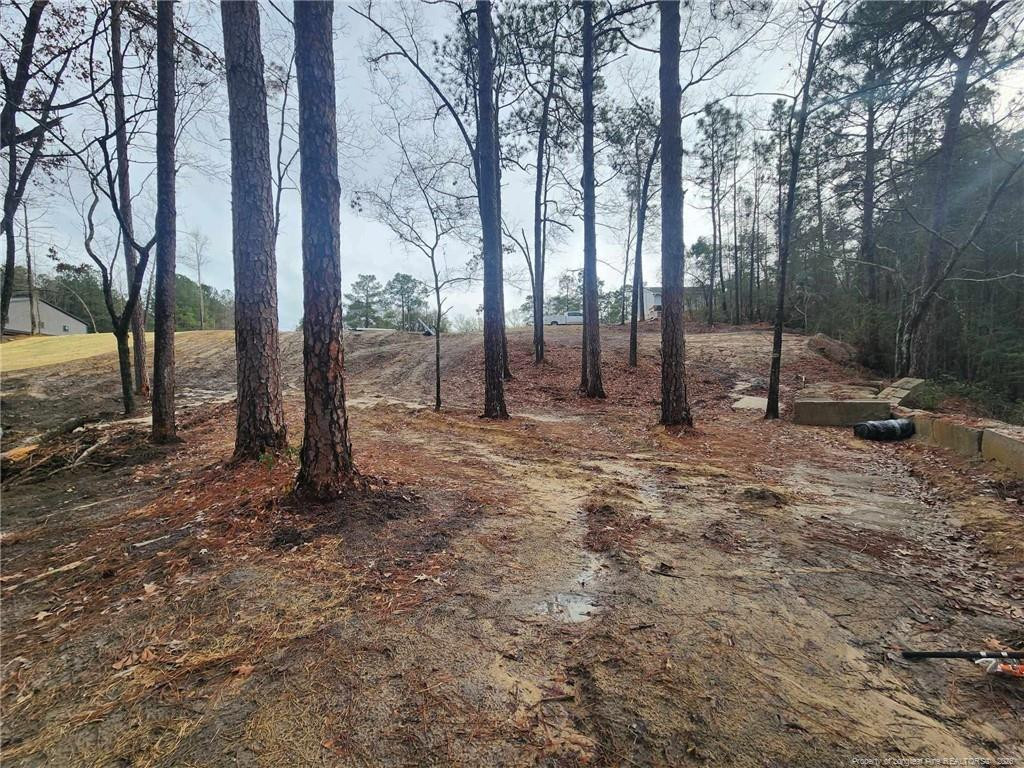 main property photo 11