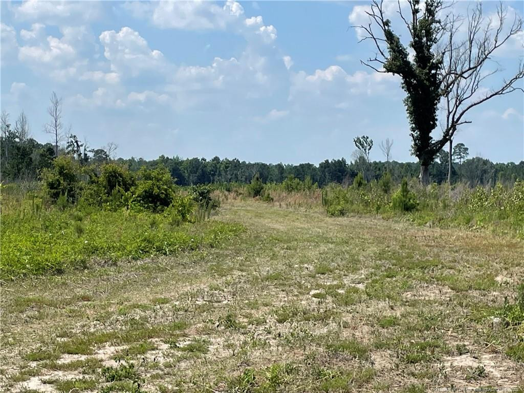 main property photo 11
