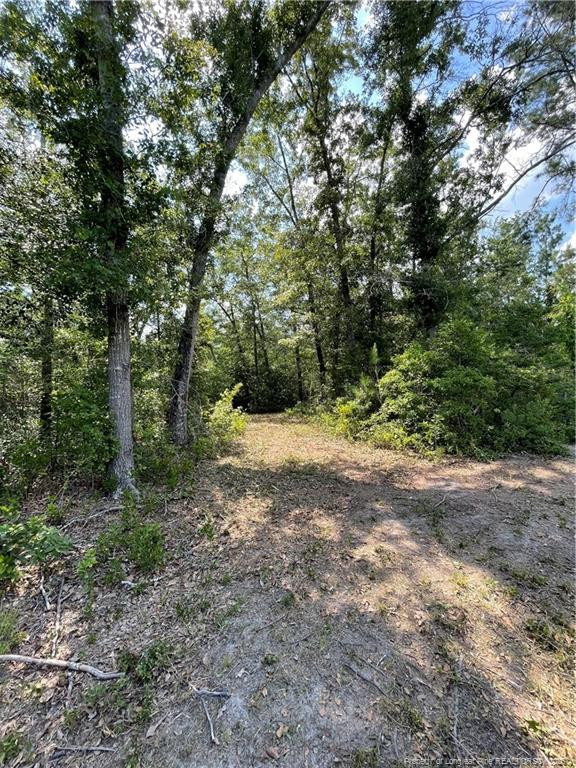main property photo 14