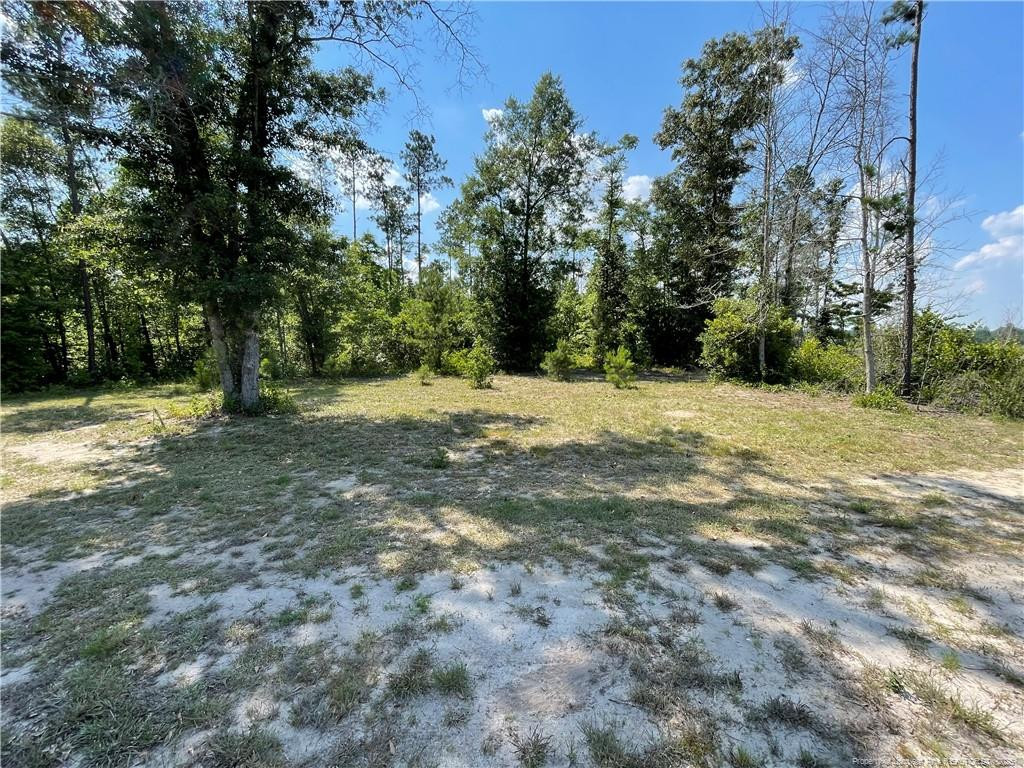 main property photo 26