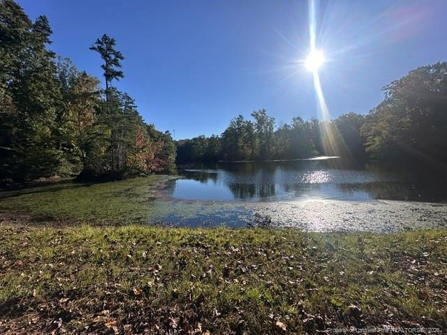 main property photo 31