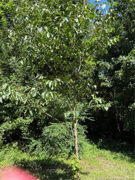main property photo 21