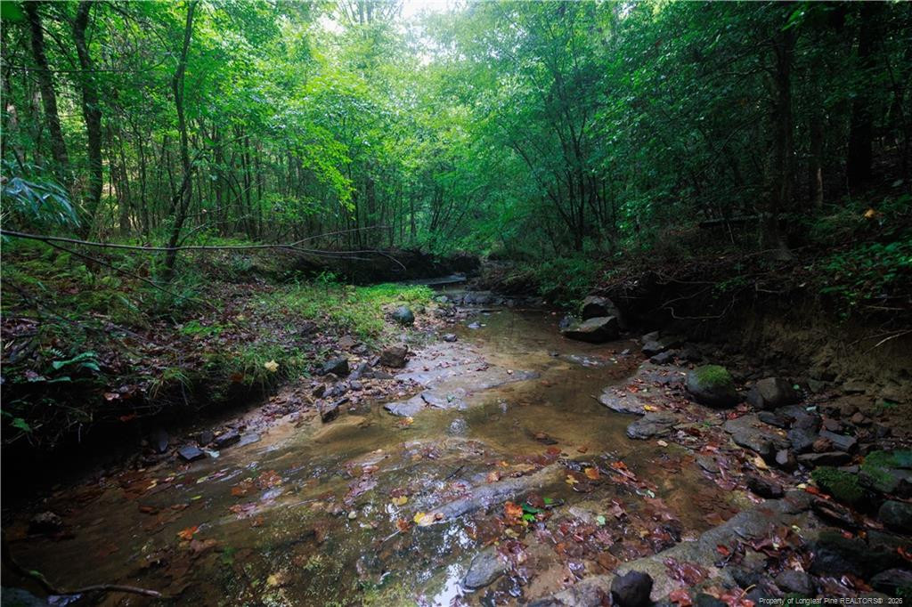 main property photo 46