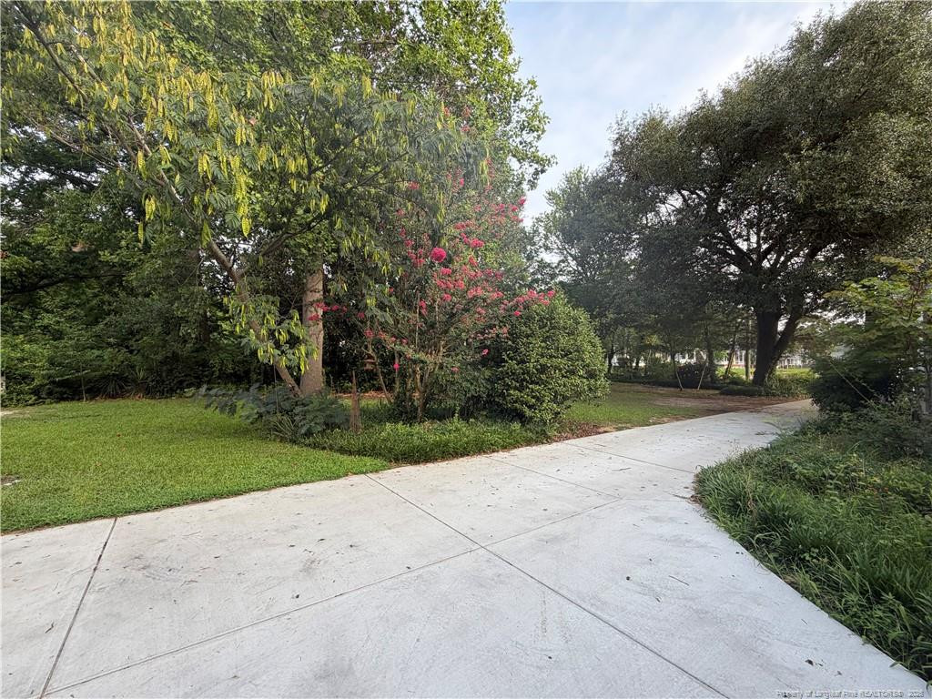 main property photo 39
