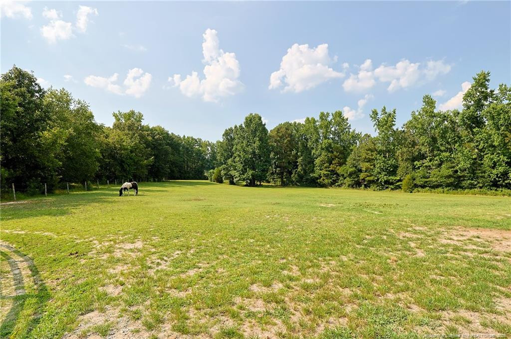 main property photo 42