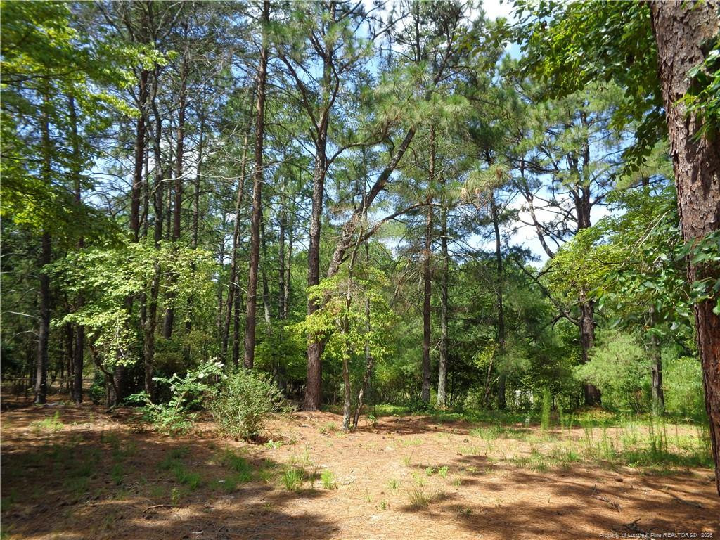 main property photo 41