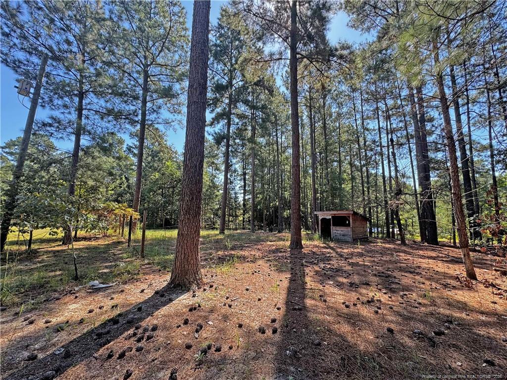 main property photo 42