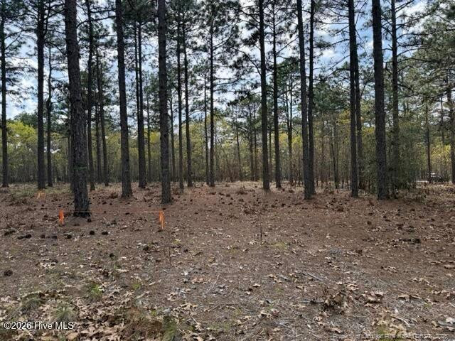 main property photo 16