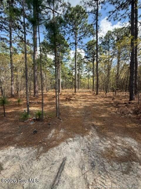 main property photo 6