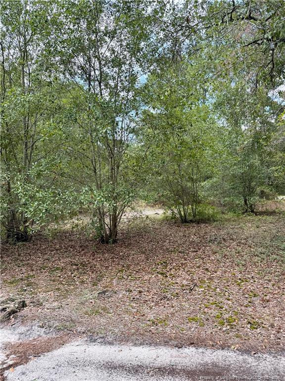 main property photo 20