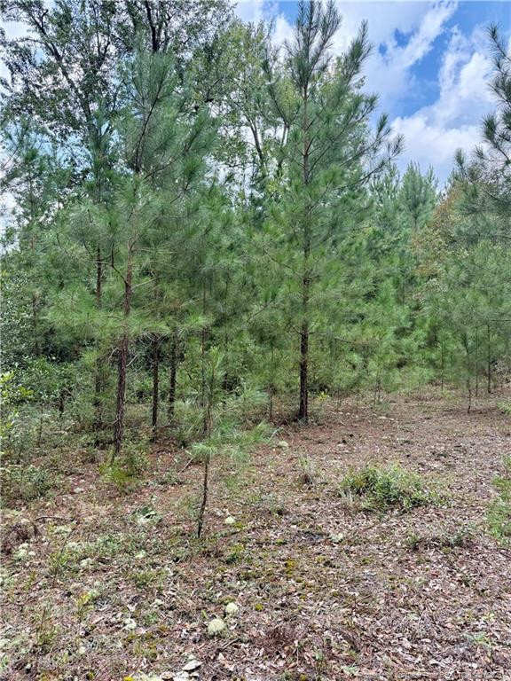 main property photo 21