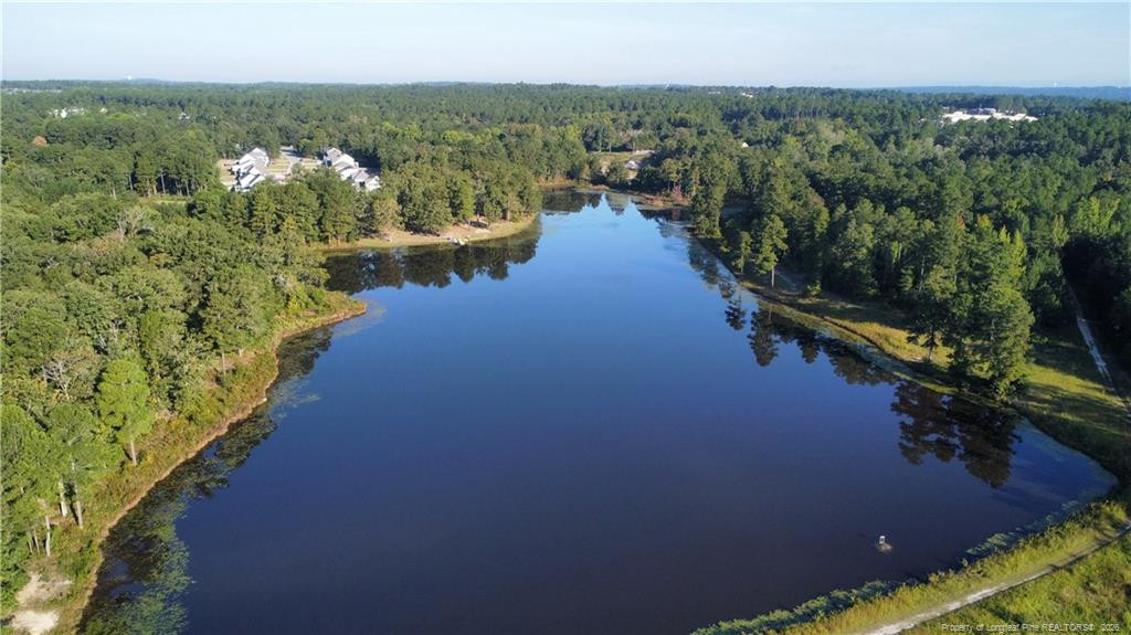 main property photo 43
