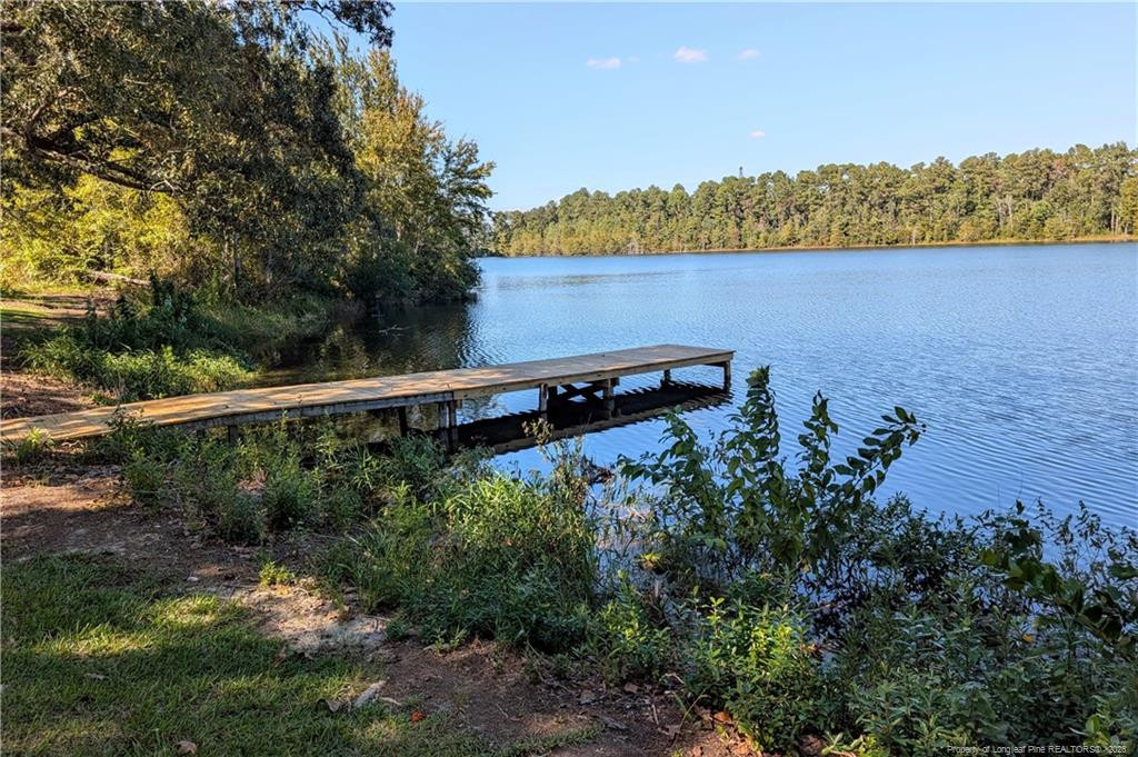 main property photo 41