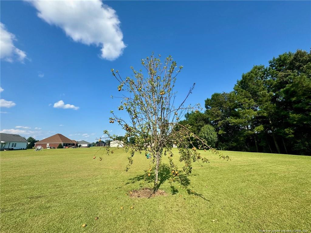 main property photo 45