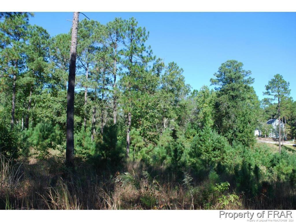 main property photo 7