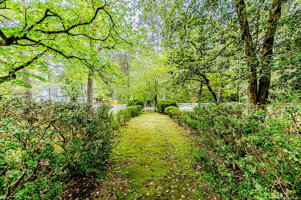 main property photo 45