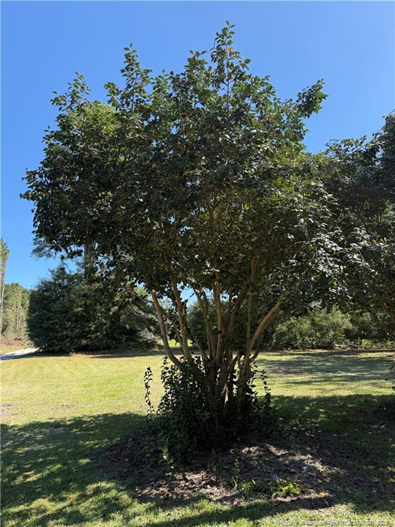property viewer photo 3
