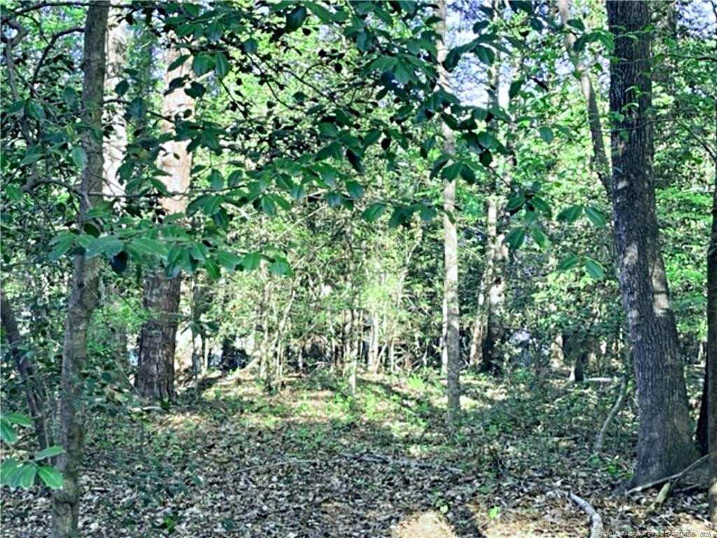 main property photo 21